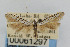  ( - CNCLEP00061297)  @13 [ ] CreativeCommons - Attribution Non-Commercial Share-Alike (2007) Unspecified Canadian National Collection