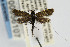  ( - USNMENT00656107)  @13 [ ] Copyright (2007) Unspecified Canadian National Collection