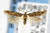  ( - CNCLEP00002897)  @13 [ ] CreativeCommons - Attribution Non-Commercial Share-Alike (2007) Unspecified Canadian National Collection