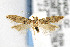  ( - CNCLEP00002923)  @13 [ ] CreativeCommons - Attribution Non-Commercial Share-Alike (2007) Unspecified Canadian National Collection