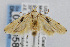  ( - CNCLEP00005834)  @14 [ ] CreativeCommons - Attribution Non-Commercial Share-Alike (2007) Unspecified Canadian National Collection