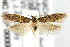  ( - CNCLEP00006623)  @14 [ ] CreativeCommons - Attribution Non-Commercial Share-Alike (2007) Unspecified Canadian National Collection