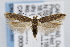  ( - CNCLEP00007067)  @15 [ ] CreativeCommons - Attribution Non-Commercial Share-Alike (2007) Unspecified Canadian National Collection