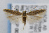  ( - CNCLEP00007393)  @15 [ ] CreativeCommons - Attribution Non-Commercial Share-Alike (2007) Unspecified Canadian National Collection