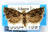  ( - CNCLEP00041159)  @14 [ ] CreativeCommons - Attribution Non-Commercial Share-Alike (2007) Unspecified Canadian National Collection