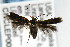  ( - CNCLEP00042972)  @11 [ ] CreativeCommons - Attribution Non-Commercial Share-Alike (2007) Unspecified Canadian National Collection