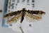  ( - CNCLEP00061386)  @13 [ ] CreativeCommons - Attribution Non-Commercial Share-Alike (2007) Unspecified Canadian National Collection