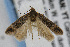  ( - CNCLEP00061389)  @13 [ ] CreativeCommons - Attribution Non-Commercial Share-Alike (2007) Unspecified Canadian National Collection