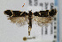  ( - CNCLEP00061416)  @13 [ ] CreativeCommons - Attribution Non-Commercial Share-Alike (2007) Unspecified Canadian National Collection