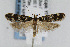  ( - CNCLEP00061420)  @13 [ ] CreativeCommons - Attribution Non-Commercial Share-Alike (2007) Unspecified Canadian National Collection