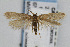  ( - CNCLEP00061426)  @13 [ ] CreativeCommons - Attribution Non-Commercial Share-Alike (2007) Unspecified Canadian National Collection