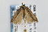  ( - CNCLEP00061428)  @13 [ ] CreativeCommons - Attribution Non-Commercial Share-Alike (2007) Unspecified Canadian National Collection