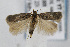  ( - CNCLEP00061432)  @13 [ ] CreativeCommons - Attribution Non-Commercial Share-Alike (2007) Unspecified Canadian National Collection
