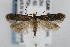  ( - CNCLEP00061434)  @14 [ ] CreativeCommons - Attribution Non-Commercial Share-Alike (2007) Unspecified Canadian National Collection