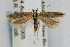  ( - CNCLEP00061447)  @11 [ ] CreativeCommons - Attribution Non-Commercial Share-Alike (2007) Unspecified Canadian National Collection