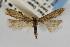  ( - CNCLEP00067451)  @11 [ ] CreativeCommons - Attribution Non-Commercial Share-Alike (2007) Unspecified Canadian National Collection