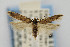  ( - CNCLEP00067471)  @14 [ ] CreativeCommons - Attribution Non-Commercial Share-Alike (2007) Unspecified Canadian National Collection