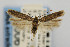  ( - CNCLEP00067473)  @14 [ ] CreativeCommons - Attribution Non-Commercial Share-Alike (2007) Unspecified Canadian National Collection