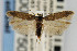  ( - CNCLEP00067501)  @14 [ ] CreativeCommons - Attribution Non-Commercial Share-Alike (2007) Unspecified Canadian National Collection
