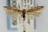  ( - CNCLEP00067509)  @14 [ ] CreativeCommons - Attribution Non-Commercial Share-Alike (2007) Unspecified Canadian National Collection