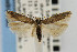  ( - CNCLEP00067521)  @14 [ ] CreativeCommons - Attribution Non-Commercial Share-Alike (2007) Unspecified Canadian National Collection