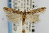  ( - CNCLEP00067525)  @14 [ ] CreativeCommons - Attribution Non-Commercial Share-Alike (2007) Unspecified Canadian National Collection