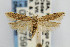  ( - CNCLEP00067595)  @14 [ ] CreativeCommons - Attribution Non-Commercial Share-Alike (2007) Unspecified Canadian National Collection