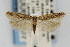  ( - CNCLEP00067607)  @14 [ ] CreativeCommons - Attribution Non-Commercial Share-Alike (2007) Unspecified Canadian National Collection