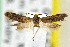  ( - CNCLEP00067744)  @12 [ ] CreativeCommons - Attribution Non-Commercial Share-Alike (2007) Unspecified Canadian National Collection