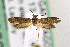  ( - CNCLEP00067745)  @12 [ ] CreativeCommons - Attribution Non-Commercial Share-Alike (2007) Unspecified Canadian National Collection