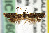  ( - CNCLEP00067747)  @12 [ ] CreativeCommons - Attribution Non-Commercial Share-Alike (2007) Unspecified Canadian National Collection