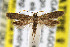  ( - CNCLEP00067750)  @14 [ ] CreativeCommons - Attribution Non-Commercial Share-Alike (2007) Unspecified Canadian National Collection
