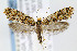  ( - CNCLEP00067773)  @13 [ ] CreativeCommons - Attribution Non-Commercial Share-Alike (2007) Unspecified Canadian National Collection