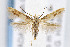  ( - CNCLEP00067777)  @14 [ ] CreativeCommons - Attribution Non-Commercial Share-Alike (2007) Unspecified Canadian National Collection