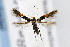  ( - CNCLEP00067787)  @14 [ ] CreativeCommons - Attribution Non-Commercial Share-Alike (2007) Unspecified Canadian National Collection