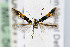  ( - CNCLEP00067788)  @13 [ ] CreativeCommons - Attribution Non-Commercial Share-Alike (2007) Unspecified Canadian National Collection
