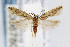  ( - CNCLEP00067805)  @14 [ ] CreativeCommons - Attribution Non-Commercial Share-Alike (2007) Unspecified Canadian National Collection