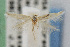  ( - CNCLEP00068447)  @13 [ ] CreativeCommons - Attribution Non-Commercial Share-Alike (2007) Unspecified Canadian National Collection