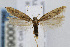  ( - CNCLEP00068474)  @15 [ ] CreativeCommons - Attribution Non-Commercial Share-Alike (2007) Unspecified Canadian National Collection