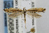  ( - CNCLEP00068478)  @14 [ ] CreativeCommons - Attribution Non-Commercial Share-Alike (2007) Unspecified Canadian National Collection