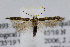  ( - JD1893)  @14 [ ] Copyright (2007) Unspecified Canadian National Collection