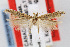  (Gnorimoschema tunicatum - MZH-LEP00000021)  @14 [ ] Copyright (2007) Unspecified Canadian National Collection
