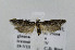  ( - BIRD24854)  @13 [ ] Copyright (2007) Unspecified Canadian National Collection