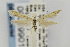  ( - CNCLEP00009901)  @11 [ ] CreativeCommons - Attribution Non-Commercial Share-Alike (2011) Jean-Francois Landry Canadian National Collection