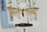  ( - CNCLEP00011946)  @14 [ ] CreativeCommons - Attribution Non-Commercial Share-Alike (2011) Jean-Francois Landry Canadian National Collection