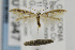  ( - CNCLEP00011947)  @14 [ ] CreativeCommons - Attribution Non-Commercial Share-Alike (2011) Jean-Francois Landry Canadian National Collection