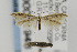  ( - CNCLEP00011948)  @14 [ ] CreativeCommons - Attribution Non-Commercial Share-Alike (2011) Jean-Francois Landry Canadian National Collection