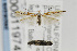  ( - CNCLEP00011974)  @13 [ ] CreativeCommons - Attribution Non-Commercial Share-Alike (2011) Jean-Francois Landry Canadian National Collection