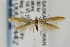  ( - CNCLEP00012442)  @14 [ ] CreativeCommons - Attribution Non-Commercial Share-Alike (2011) Jean-Francois Landry Canadian National Collection