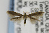  ( - CNCLEP00012768)  @15 [ ] CreativeCommons - Attribution Non-Commercial Share-Alike (2011) Jean-Francois Landry Canadian National Collection